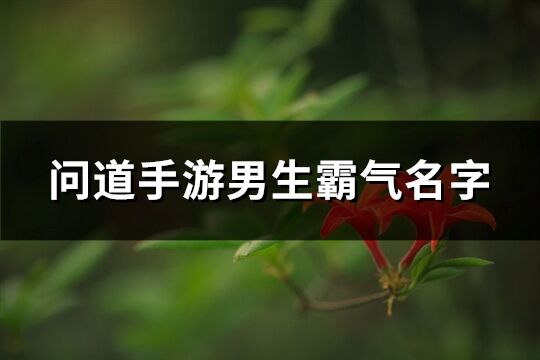 問道手游男生霸氣名字(優選468個)