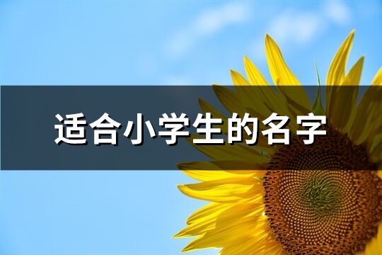 適合小學生的名字(共275個)