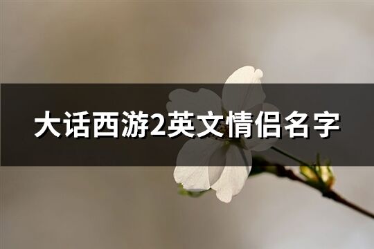 大話西游2英文情侶名字(64個)