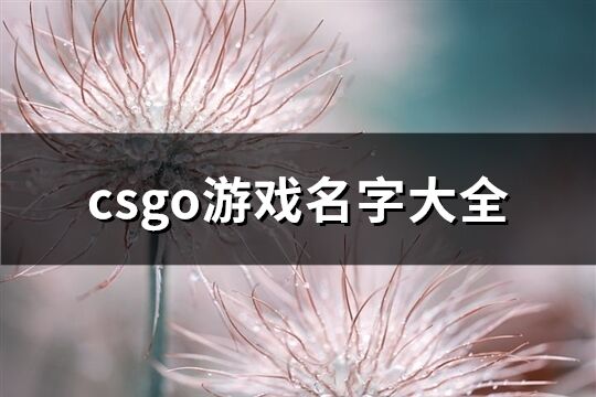 csgo游戲名字大全(優(yōu)選234個)