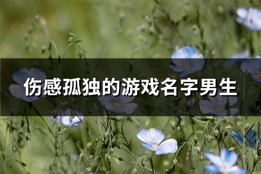 傷感孤獨的游戲名字男生(共281個)