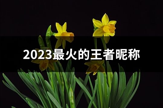 2023最火的王者昵稱(優選194個)