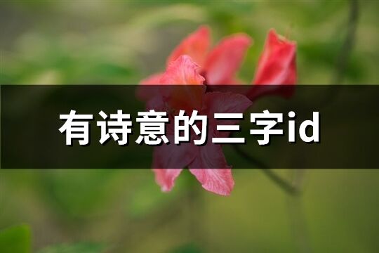 有詩意的三字id(優(yōu)選979個)