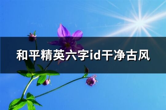 和平精英六字id干凈古風(精選109個)