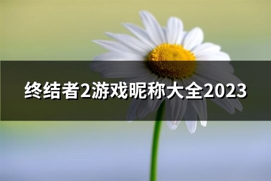 終結者2游戲昵稱大全2023(共50個)