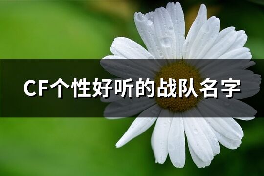 CF個(gè)性好聽的戰(zhàn)隊(duì)名字(共131個(gè))