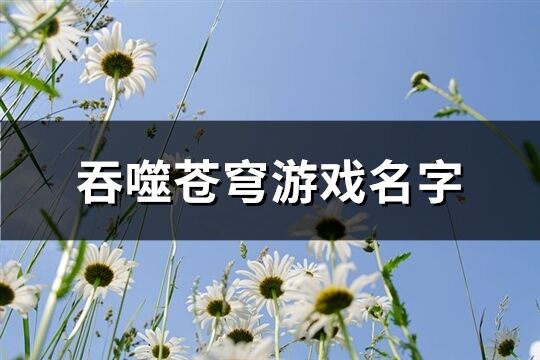 吞噬蒼穹游戲名字(共240個)