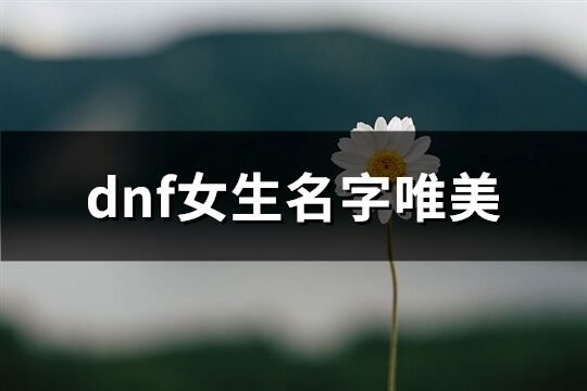 dnf女生名字唯美(優選431個)