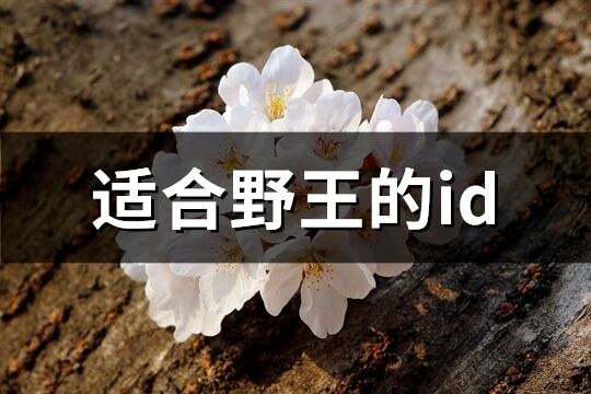 適合野王的id(共66個(gè))