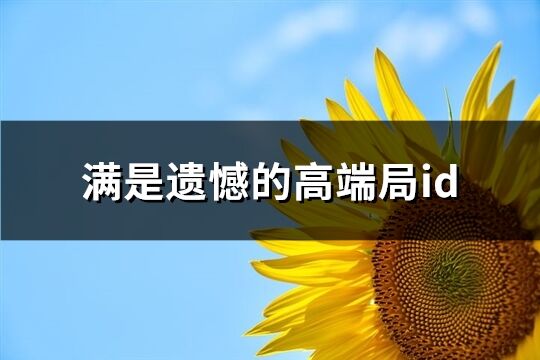 滿是遺憾的高端局id(精選71個)