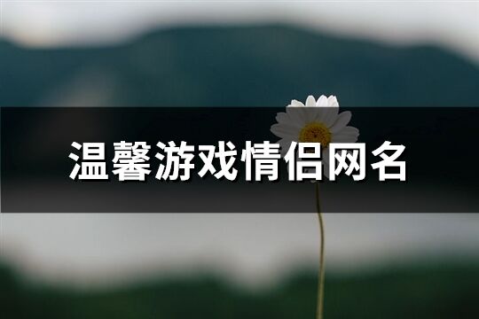 溫馨游戲情侶網名(精選491個)