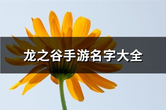 龍之谷手游名字大全(517個)