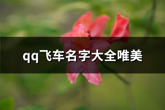 qq飛車名字大全唯美(優選176個)