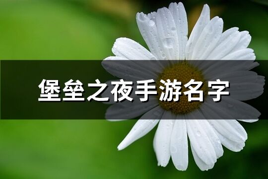 堡壘之夜手游名字(共156個)