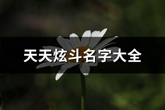 天天炫斗名字大全(精選253個)