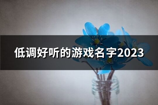 低調好聽的游戲名字2023(精選53個)