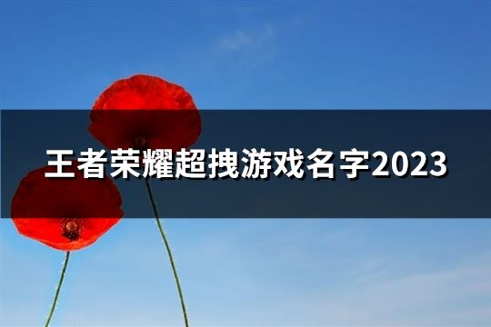 王者榮耀超拽游戲名字2023(精選61個(gè))