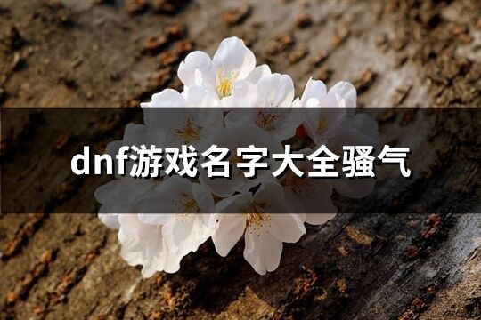 dnf游戲名字大全騷氣(精選86個)