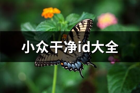 小眾干凈id大全(精選225個)