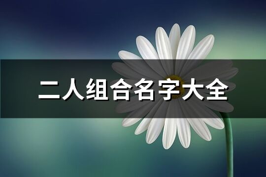 二人組合名字大全(193個)