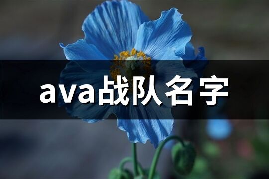 ava戰(zhàn)隊(duì)名字(共84個(gè))