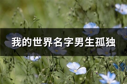 我的世界名字男生孤獨(共195個)