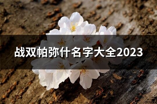 戰雙帕彌什名字大全2023(精選268個)