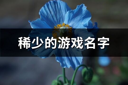 稀少的游戲名字(精選269個)