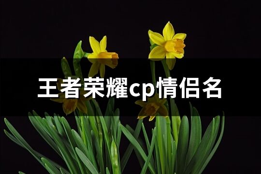 王者榮耀cp情侶名(優選351個)