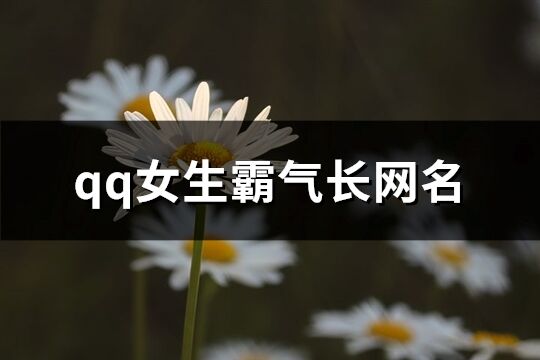 qq女生霸氣長網名