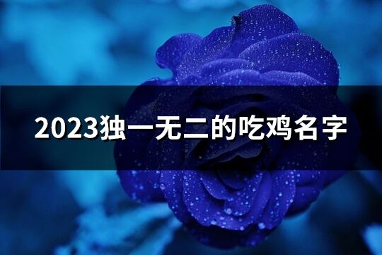 2023獨一無二的吃雞名字(共539個)