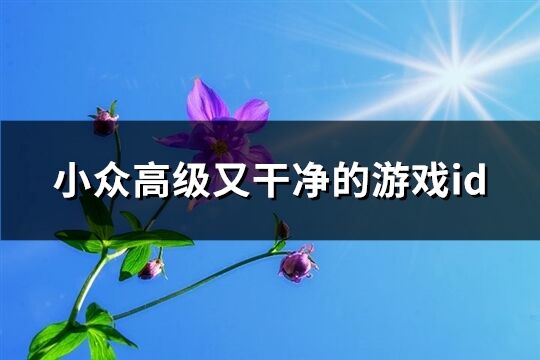 小眾高級又干凈的游戲id(239個)