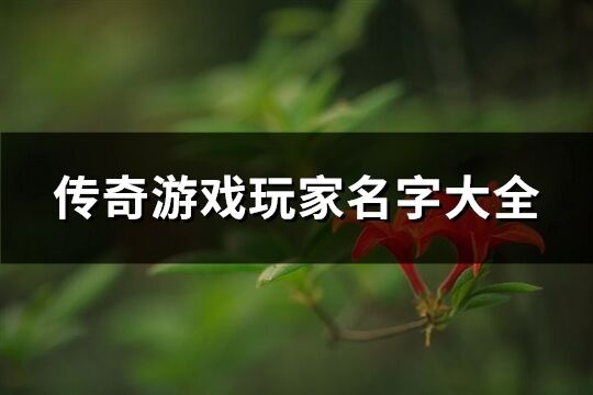 傳奇游戲玩家名字大全(精選663個)