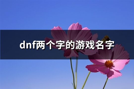 dnf兩個字的游戲名字(523個)