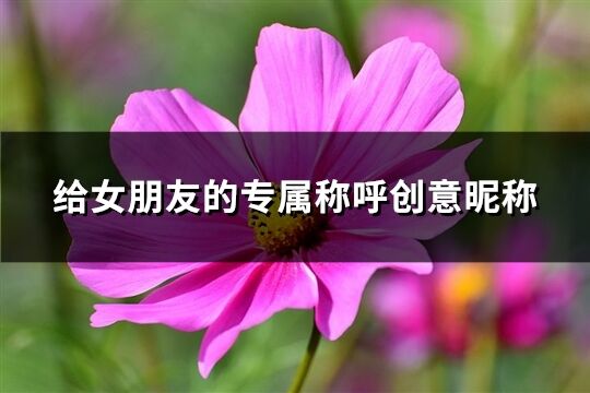 給女朋友的專屬稱呼創意昵稱(166個)