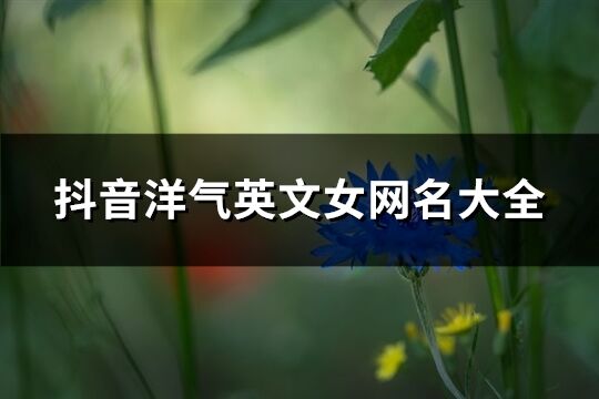 抖音洋氣英文女網名大全(優選141個)