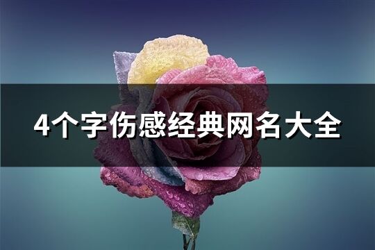 4個字傷感經典網名大全(264個)