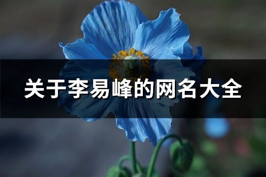 關于***的網名大全(優選104個)