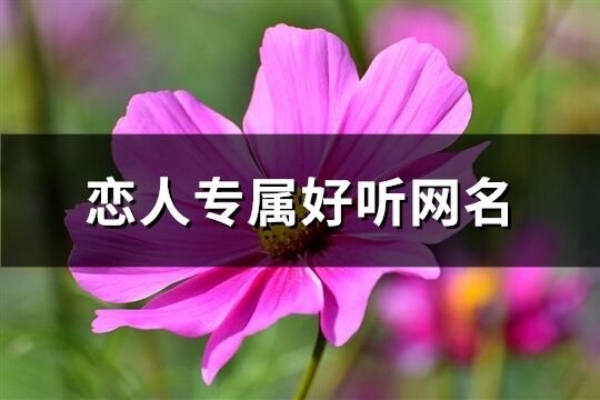 戀人專屬好聽網名(精選232個)