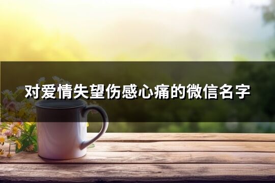 對愛情失望傷感心痛的微信名字(優選262個)