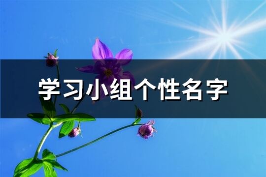 學習小組個性名字(優選58個)