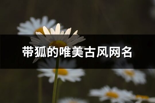 帶狐的唯美古風(fēng)網(wǎng)名(優(yōu)選78個(gè))