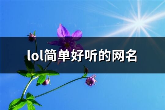 lol簡單好聽的網名(優選897個)