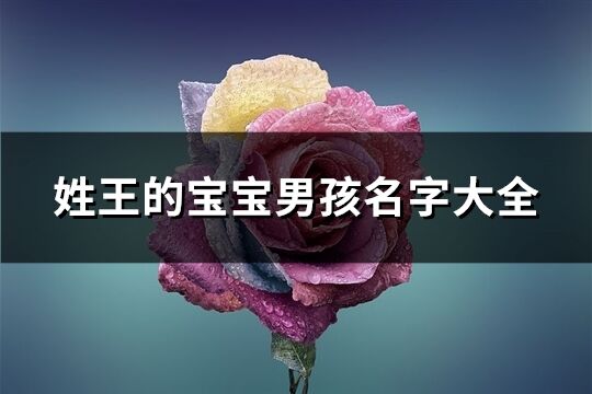 姓王的寶寶男孩名字大全(優選130組)