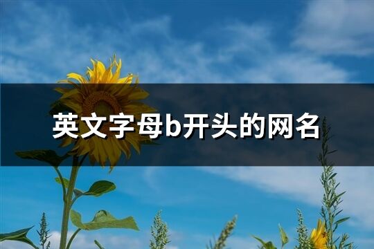 英文字母b開頭的網(wǎng)名(精選130個)