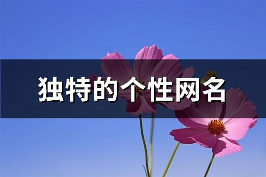 獨特的個性網名(優選646個)