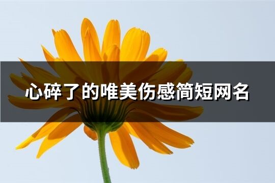 心碎了的唯美傷感簡短網名(優選669個)