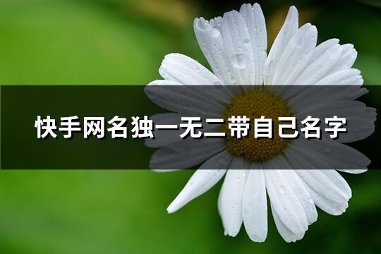 快手網(wǎng)名獨(dú)一無(wú)二帶自己名字(精選226個(gè))