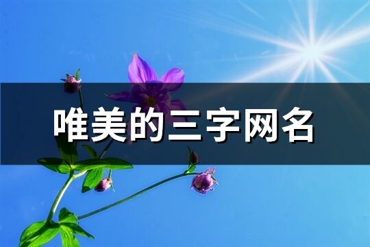 唯美的三字網名(共857個)