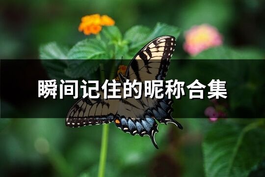 瞬間記住的昵稱合集(優選312個)